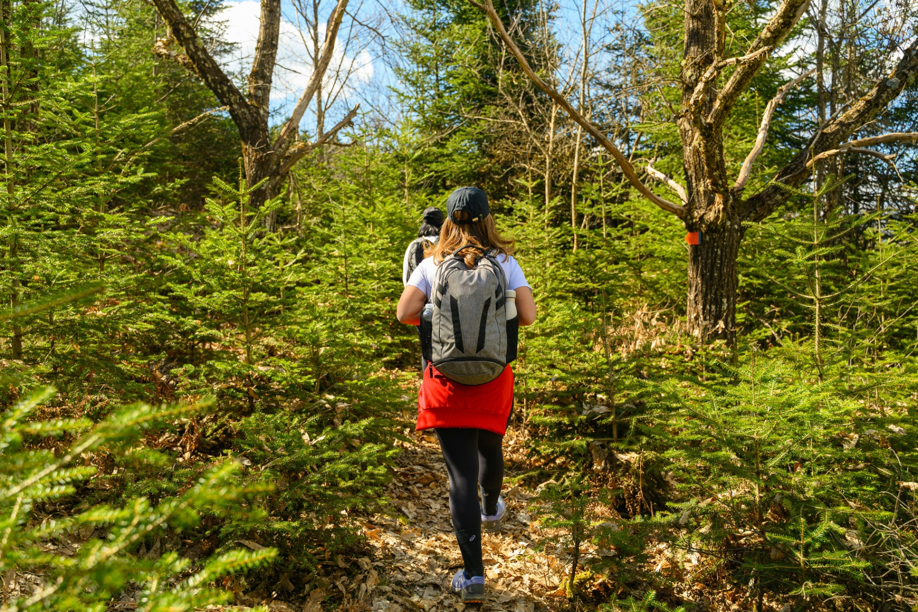 Trail hikes